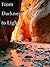 From Darkness to Light by Patricia Tew Potts