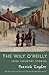 The Wily O'Reilly by Patrick Taylor