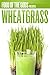 Food of The Gods Presents: Wheatgrass