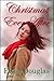 Christmas Ever After by Elyse Douglas