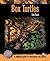 Box Turtles by Tess Cook