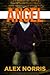 Angel by Alex  Norris