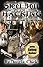 Steel Bolt Hacking: Lock Pi...
