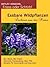 Essbare Wildpflanzen - Leckeres aus der Natur - (German Edition)