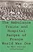 The Ambulance Trains and Hospital Barges of France-World War I, Illustrated
