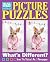 USA Today Picture Puzzles: ...