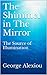 The Shimmer in The Mirror