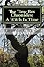The Time Box Chronicles Book 1: A Witch In Time
