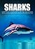 Sharks - All about Sharks Children's Picture Book