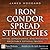 Iron Condor Spread Strategies: Timing, Structuring, and Managing Profitable Options Trades