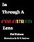 In Through a Coloured Lens