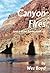 Canyon Fires