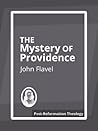 The Mystery of Providence Book cover for The Mystery of Providence