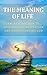 The Meaning Of Life: An Introduction To Spirituality, Meditation and Understanding God (Meaning, Life, Spirituality, God, Spirit, Religion, prayer, meditation, transcendence)