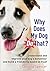 Why Does My Dog Do That?: Understand and Improve Your Dog's Behaviour and Build a Friendship Based on Trust