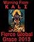 Warning From Kali: Fierce Global Grace 2013