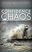 Confidence in Chaos
