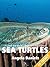 Sea Turtles – Beautiful Pictures and Fun Sea Turtle Facts for Kids (Discover the World’s Most Amazing Animals Series)