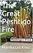 The Great Peshtigo Fire (The Time-Train Adventures Book 3)