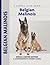 Belgian Malinois (Comprehensive Owner's Guide)