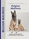 Belgian Malinois
