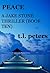 Peace (Jake Stone Thriller #10)