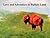 Love and Adventure in Buffalo Land by John         Anderson