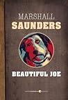 Beautiful Joe