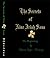 The Secrets of Nine Irish Sons I: The Beginning