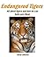 Endangered Tigers & Tiger Facts -What do tigers eat? Where do tigers live? Save tigers the endangered big cats with beautiful color photos.