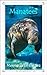 Manatees: Mermaids of the Sea (15-Minute Books Book 305)
