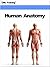 Human Anatomy (Human Body B...
