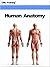 Human Anatomy by IML Training