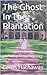 The Ghost In The Plantation: A Nancy Keene Mystery