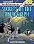 Secrets of the Petroglyph (The Adventures of Jasper Book 2)
