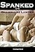 Spanked by the Billionaire Lawyer (Spanking Romance, Erotica, Rosy Bottom, Submissive Female, Spanked by Dom))