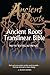 Aramaic New Testament: English text (Ancient Roots Translinear Bible Book 2)