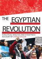 The Egyptian Revolution. A political analysis and eyewitness account