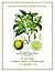 BERGAMOT ESSENTIAL OIL - POWERFUL EMOTIONAL & SPIRITUAL HEALER by K.G. Stiles