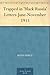 Trapped in 'Black Russia' Letters June-November 1915