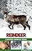 Reindeer - Amazing Animals by Elizabeth Dylan