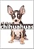 Chihuahuas: Pictures and Fun facts about chihuahuas