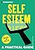 Introducing Self-esteem: A Practical Guide (Introducing...)