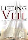 Lifting the Veil:...