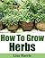 How To Grow Herbs