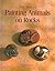 The Art of Painting Animals on Rocks by Lin Wellford The Art of Painting Animals on Rocks by Lin Wellford