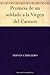 Promesa de un soldado a la Virgen del Carmen (Spanish Edition)