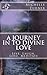 A Journey In to Divine Love