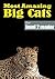 Big Cats Volume 1 (Easy Rea...
