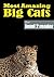 Big Cats Volume 1 (Easy Reader Series) for Level 2 Reader